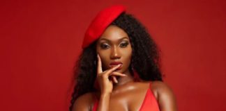 Stop comparing me to Ebony - Wendy Shay